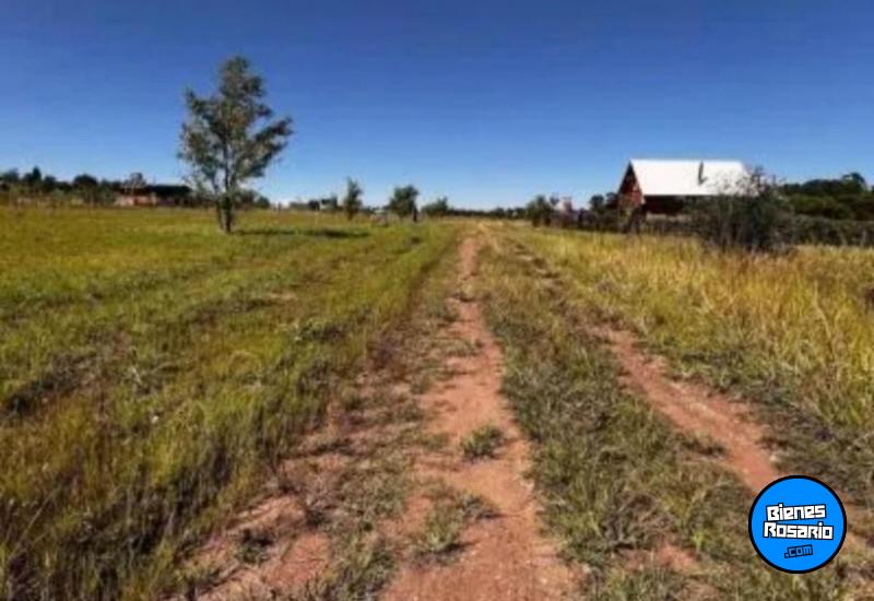 Terrenos - Los Reartes - Venta