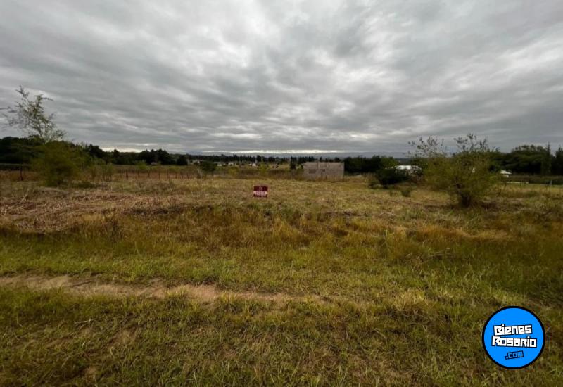 Terrenos - Los Reartes - Venta