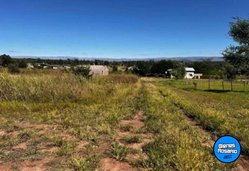 Terrenos - Los Reartes - Venta