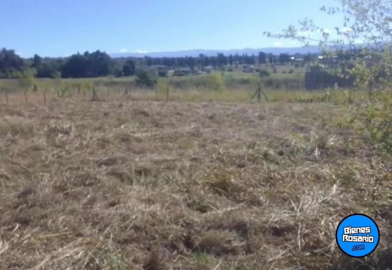 Terrenos - Los Reartes - Venta