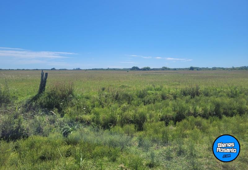 Campos - Fighiera - Venta