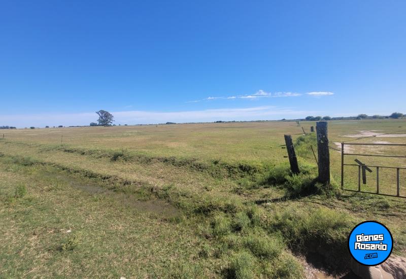 Campos - Fighiera - Venta