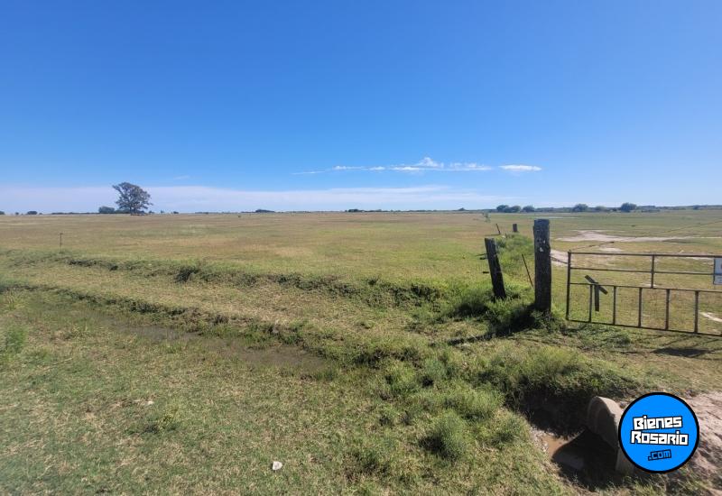 Campos - Fighiera - Venta