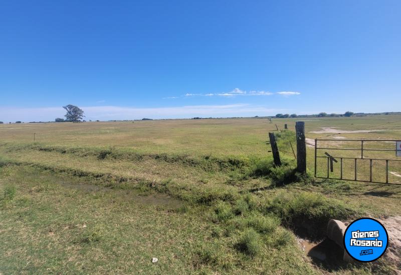 Campos - Fighiera - Venta