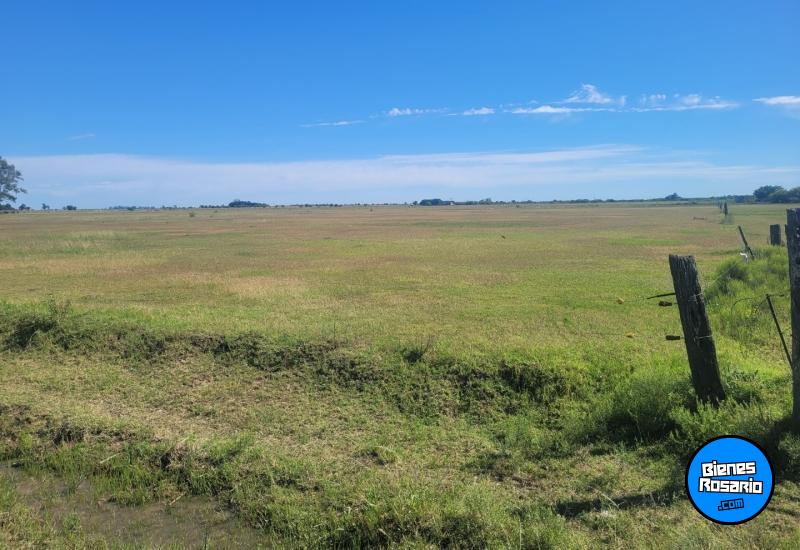 Campos - Fighiera - Venta