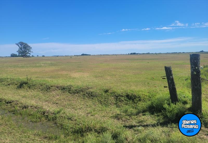 Campos - Fighiera - Venta