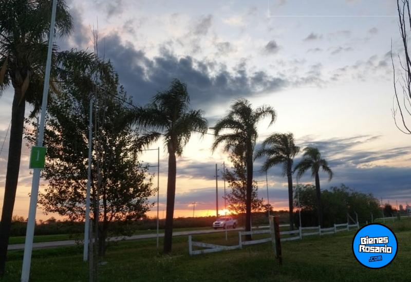 Terrenos - Arroyo Seco - Venta