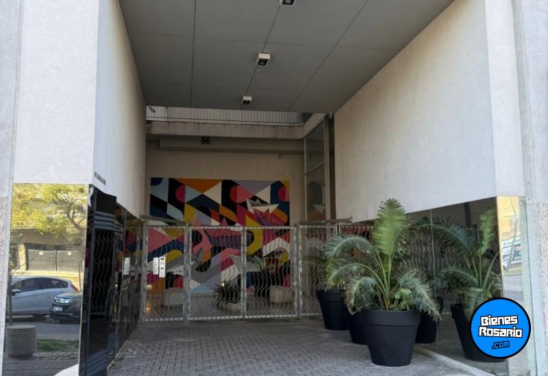 Departamentos - Rosario -  Alquiler