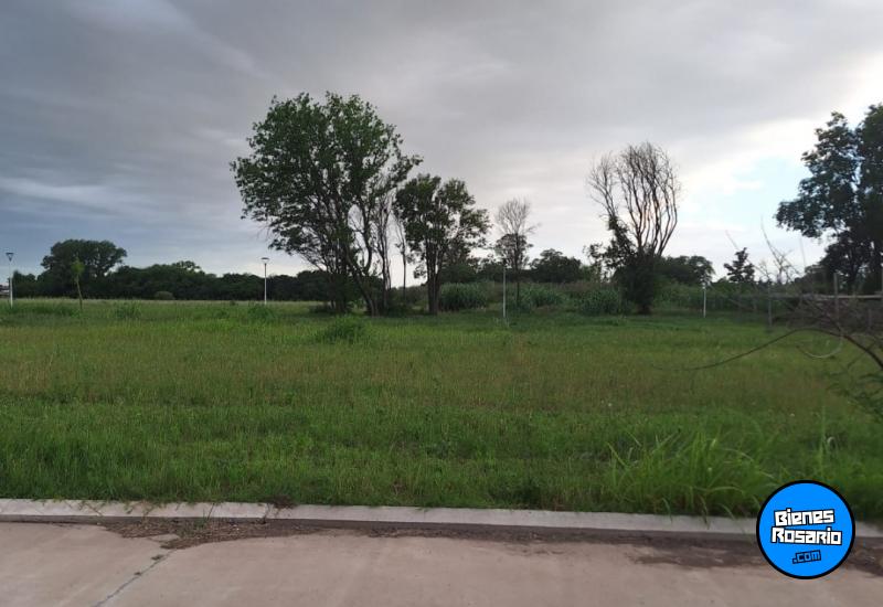 Terrenos - Alvear - Venta