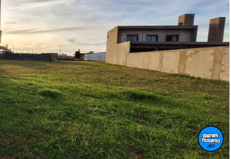Terrenos - Arroyo Seco - Venta