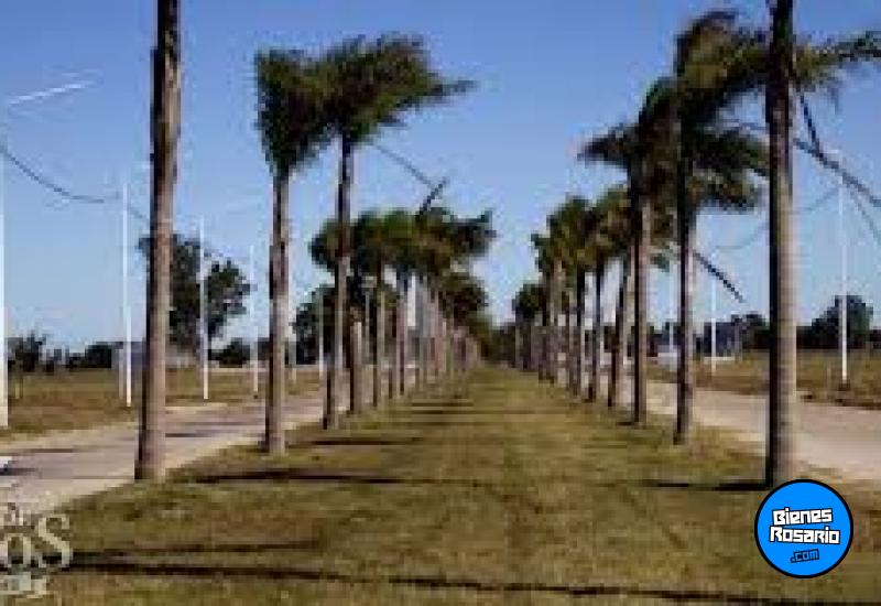 Terrenos - Arroyo Seco - Venta