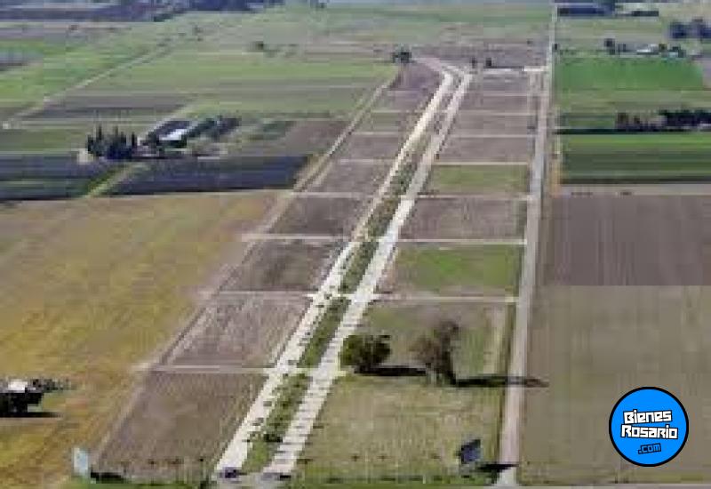 Terrenos - Arroyo Seco - Venta