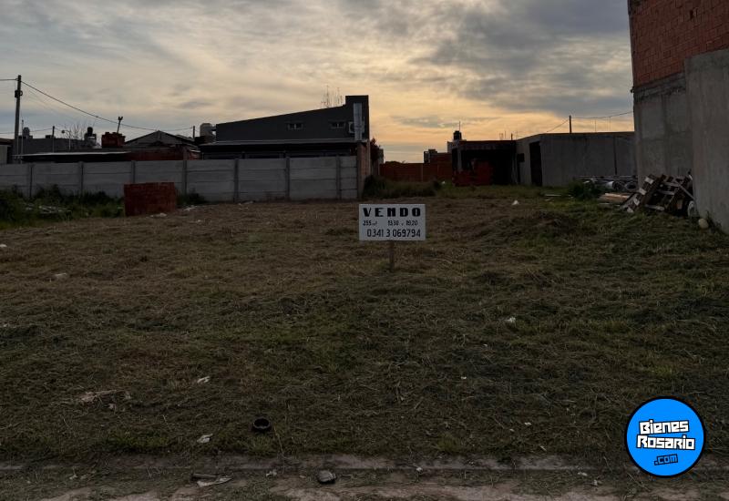 Terrenos - San Lorenzo - Venta