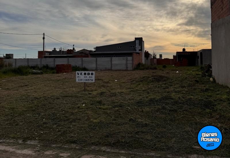 Terrenos - San Lorenzo - Venta
