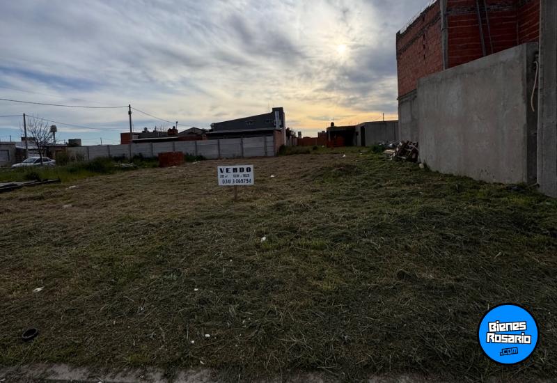 Terrenos - San Lorenzo - Venta
