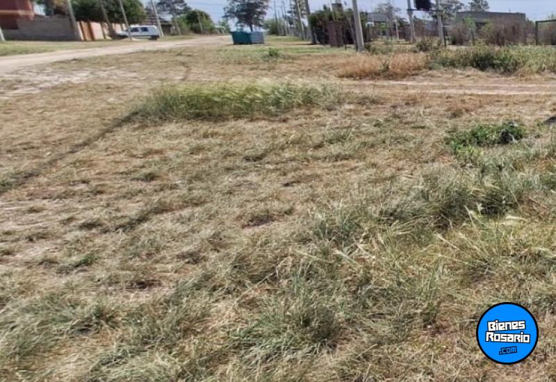 Terrenos - Andino - Venta
