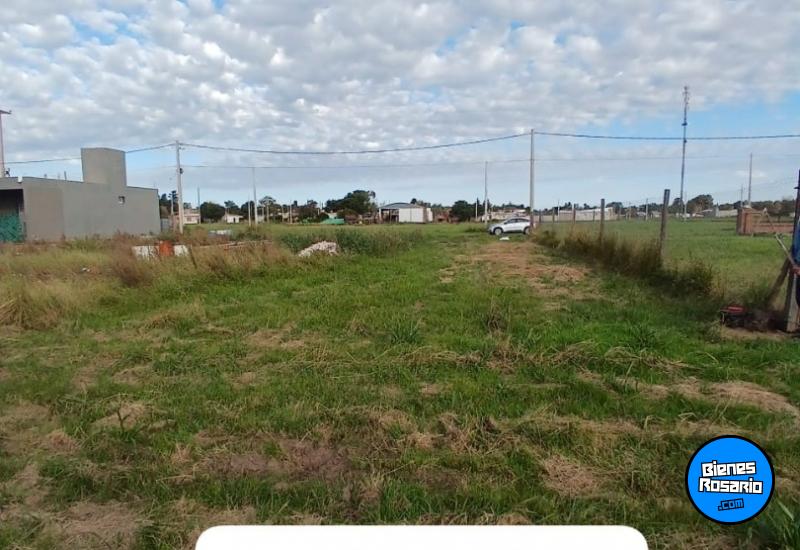 Terrenos - Coronel Bogado - Venta