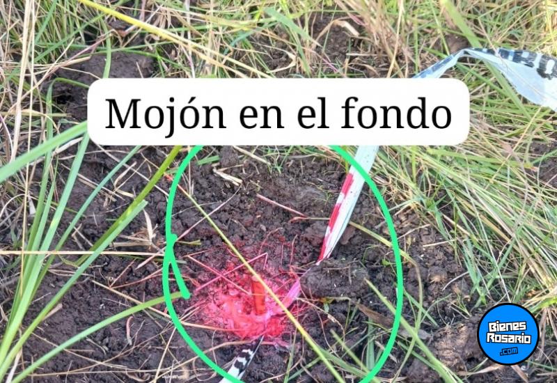 Terrenos - Coronel Bogado - Venta