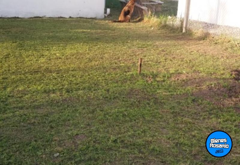 Casas - Alvear - Venta