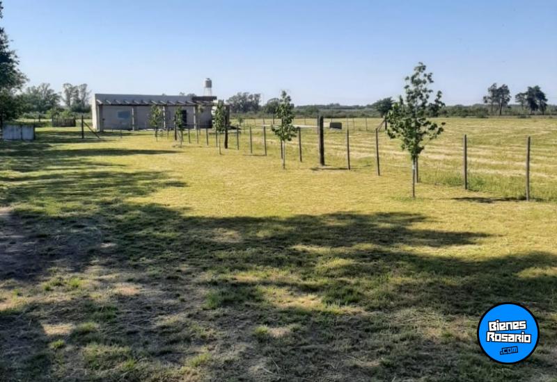 Campos - Rosario - Venta
