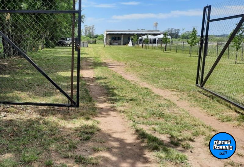 Campos - Rosario - Venta