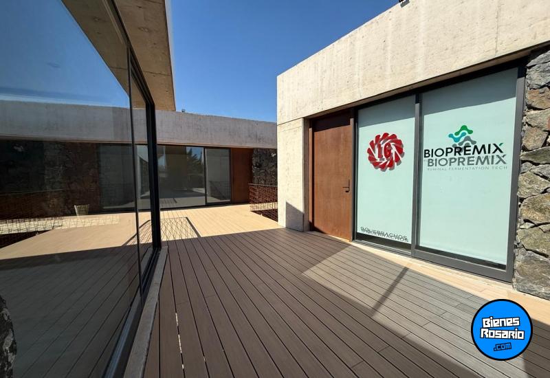 Oficinas - Rosario -  Alquiler
