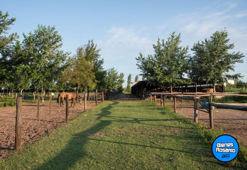 Terrenos - Rosario - Venta