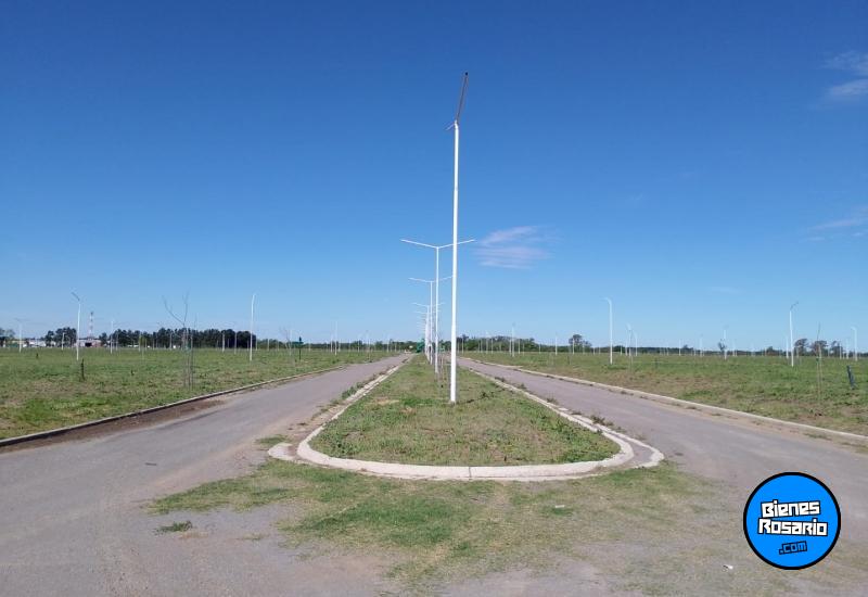 Terrenos - Piero - Venta