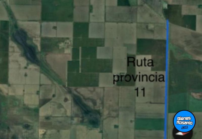 Campos - Isla Verde - Venta