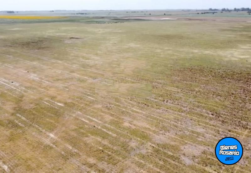 Campos - Isla Verde - Venta