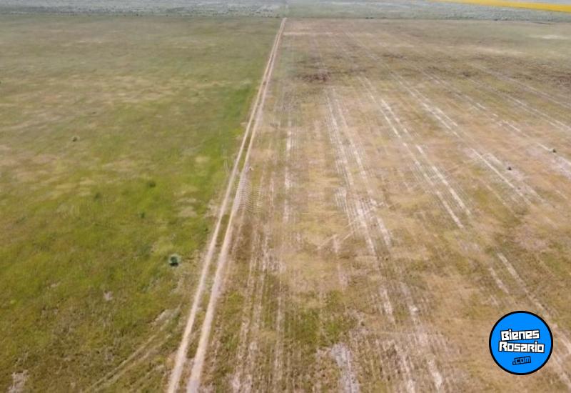 Campos - Isla Verde - Venta