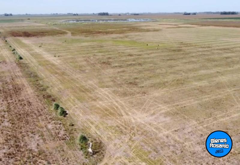 Campos - Isla Verde - Venta