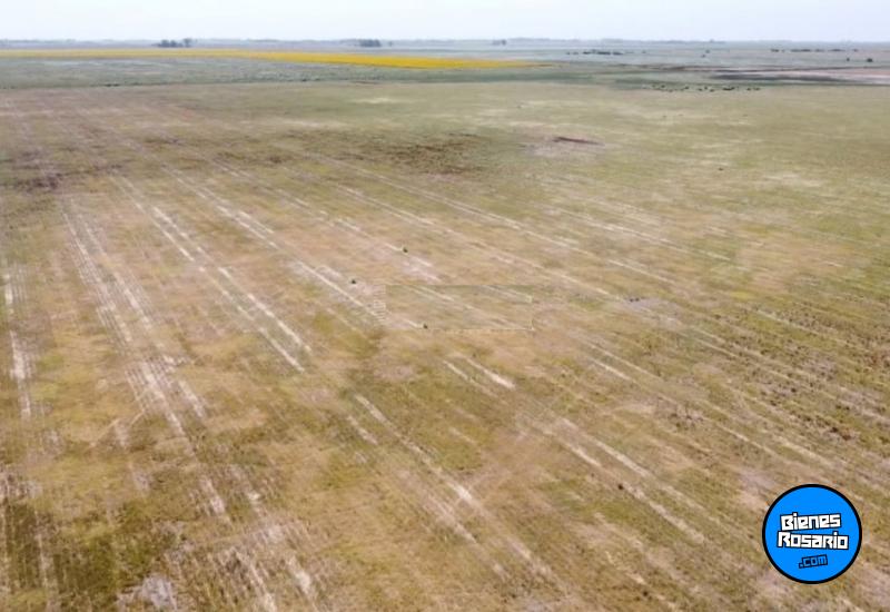 Campos - Isla Verde - Venta