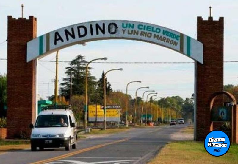 Terrenos - Andino - Venta