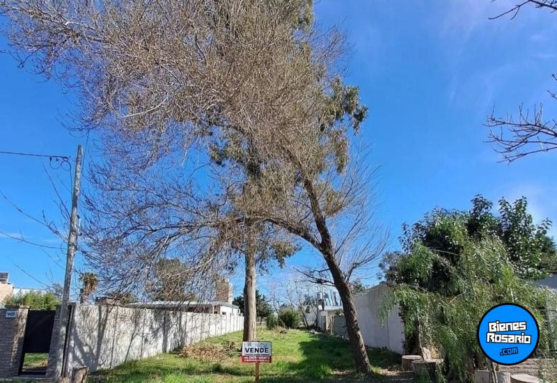 Terrenos - Andino - Venta