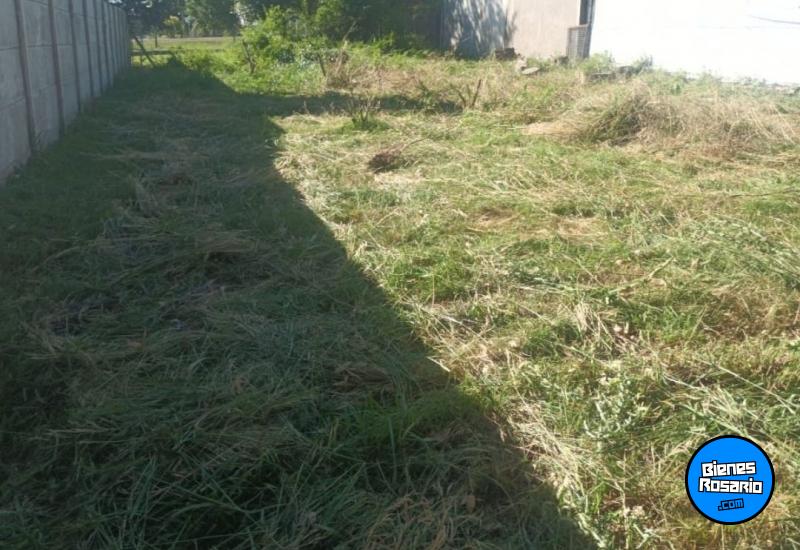 Terrenos - Andino - Venta