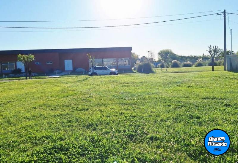 Terrenos - Ibarlucea - Venta