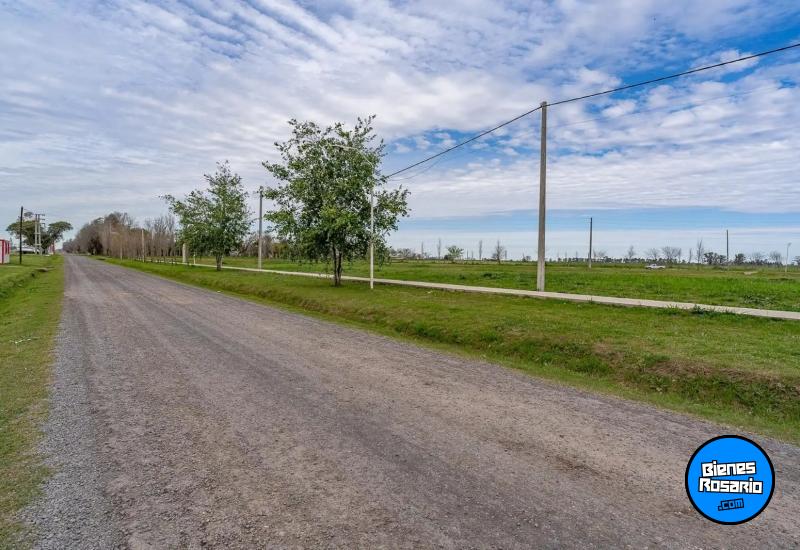 Terrenos - Timbues - Venta