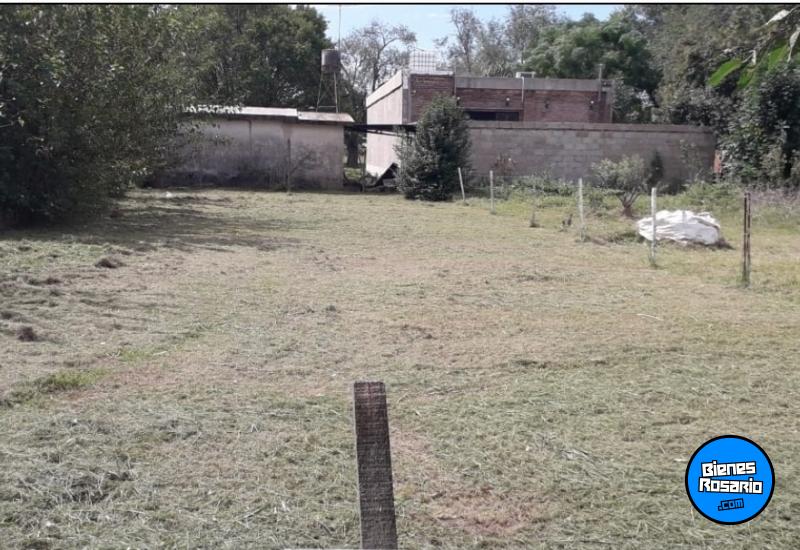 Terrenos - Andino - Venta