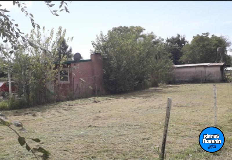 Terrenos - Andino - Venta