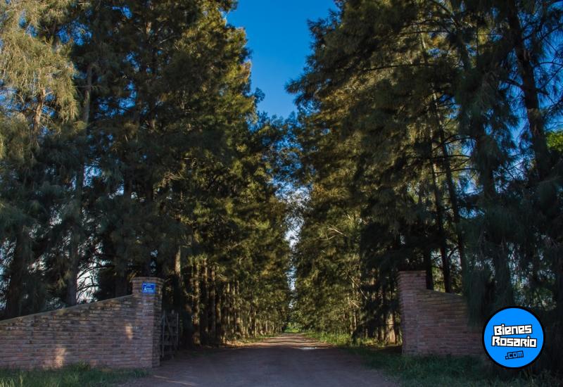 Casas - Arroyo Seco -  Alquiler