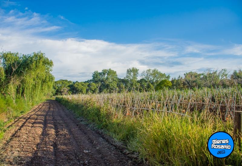 Casas - Arroyo Seco -  Alquiler