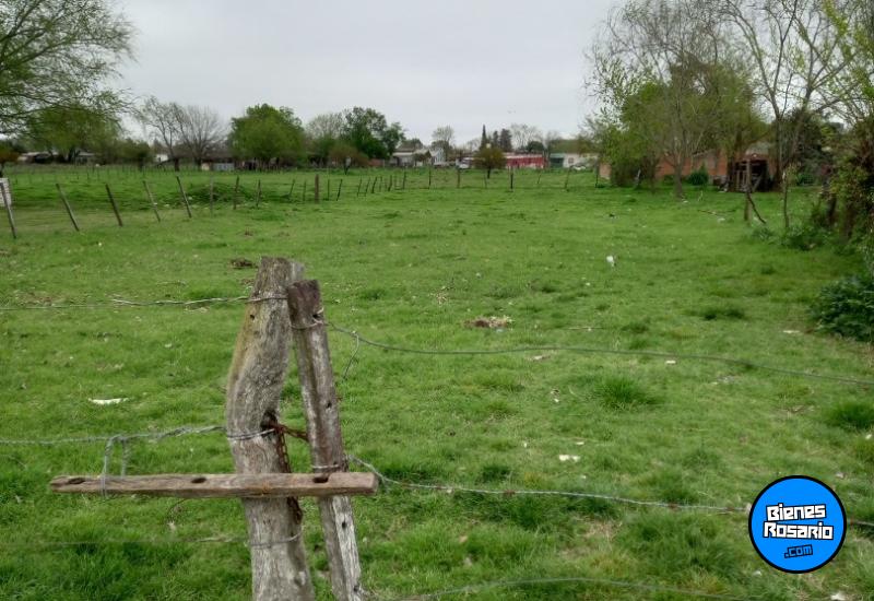 Terrenos - Venta