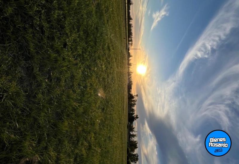 Terrenos - Timbues - Venta