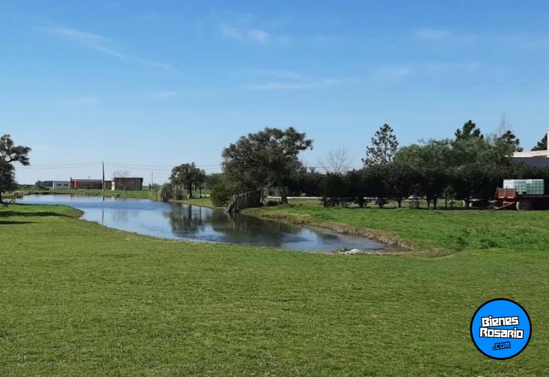 Terrenos - Timbues - Venta