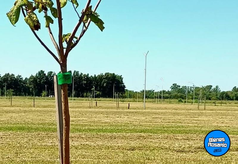 Terrenos - Rosario - Venta