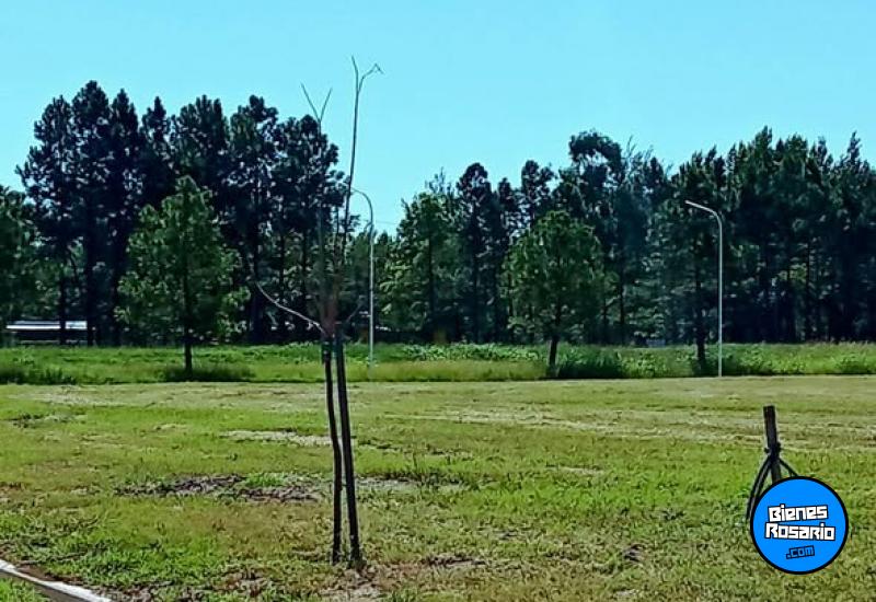 Terrenos - Rosario - Venta