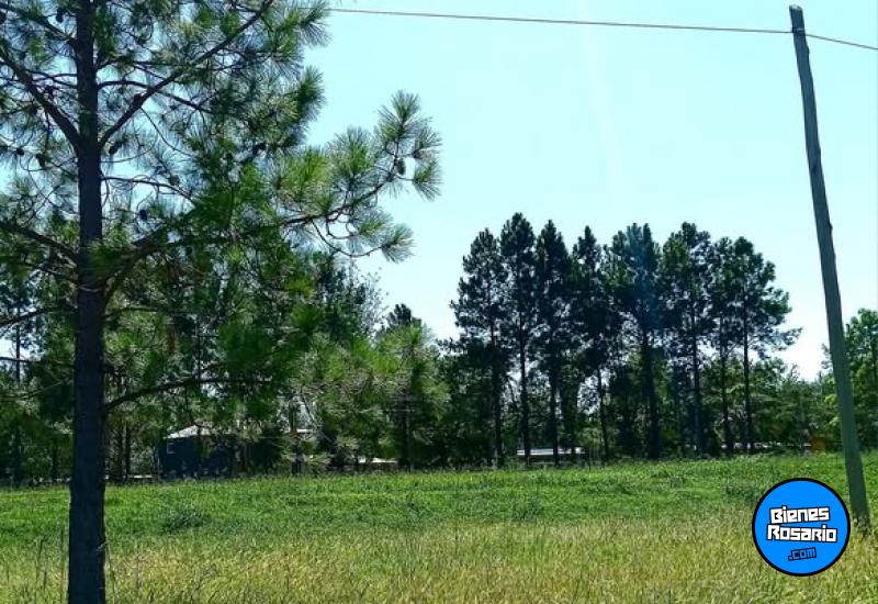 Terrenos - Rosario - Venta