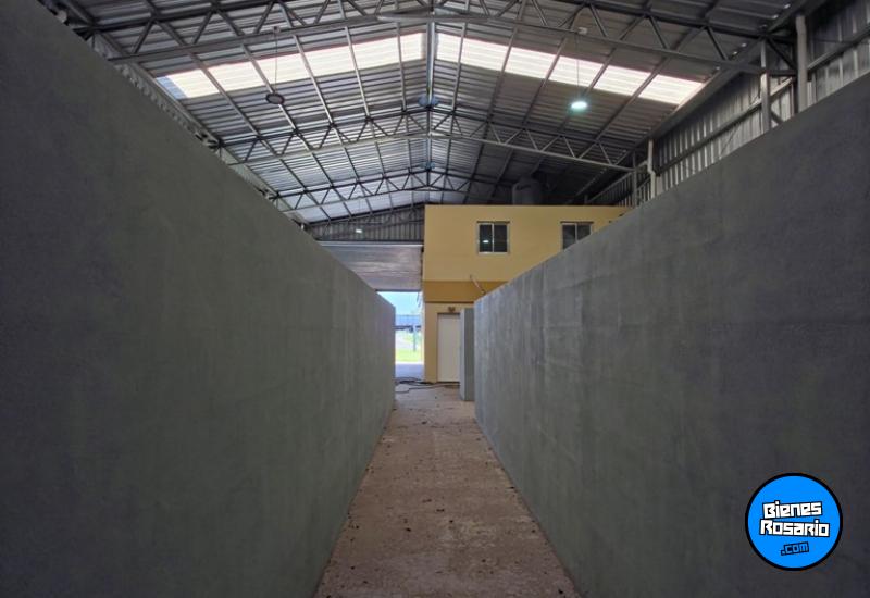 Galpones / Dep贸sitos - Roldan -  Alquiler