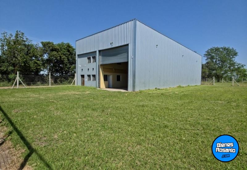 Galpones / Dep贸sitos - Roldan - Alquiler